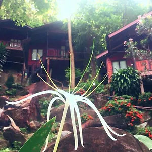Hill *** Koh Phi Phi Don